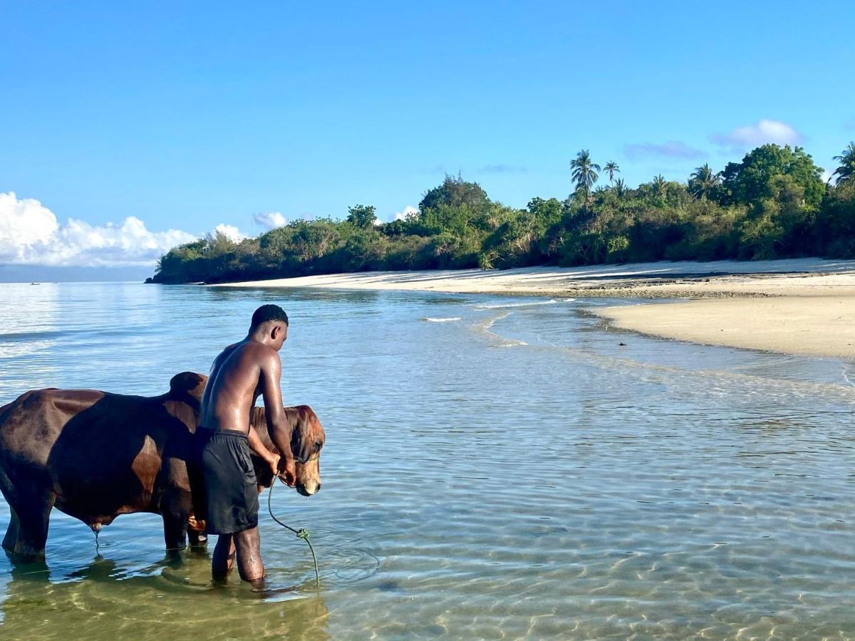 Kingstone Lodge Zanzibar Bet-el-Mali 외부 사진